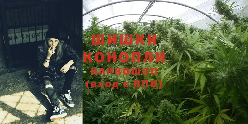 Шишки марихуана Bruce Banner  shop наркотические препараты  Куса  KRAKEN рабочий сайт 